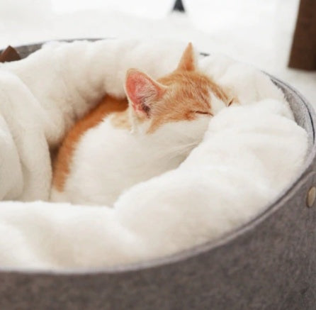 The Ultimate Comfort for Your Furry Friends: The Pet Bed